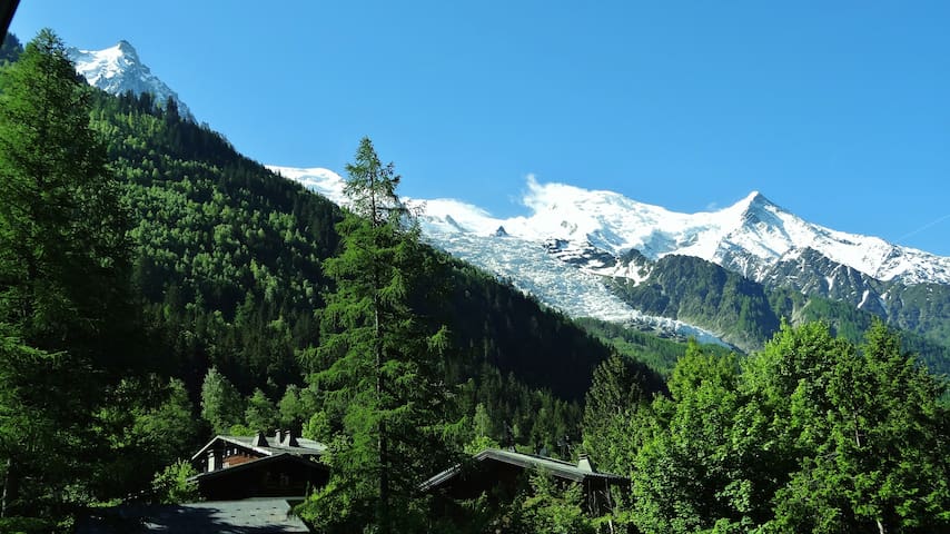 夏蒙尼(Chamonix-Mont-Blanc)的民宿