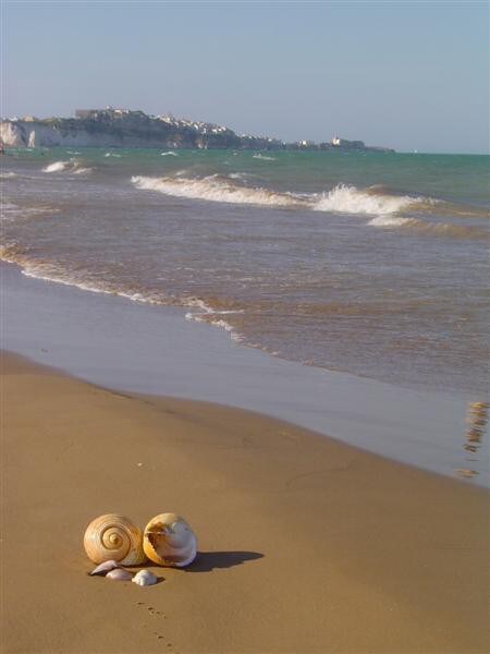 LE CALLE di CasaPino a Vieste sul Gargano