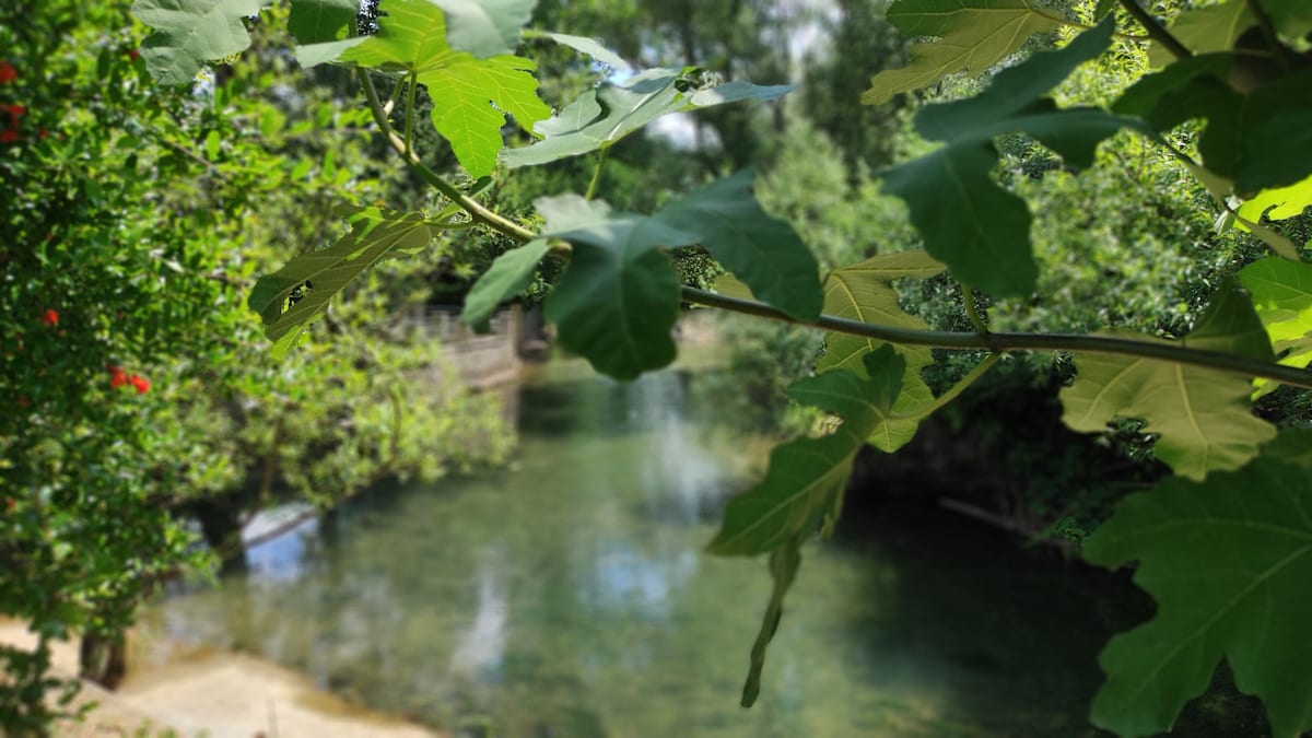 Apartment Natura vita Blagaj