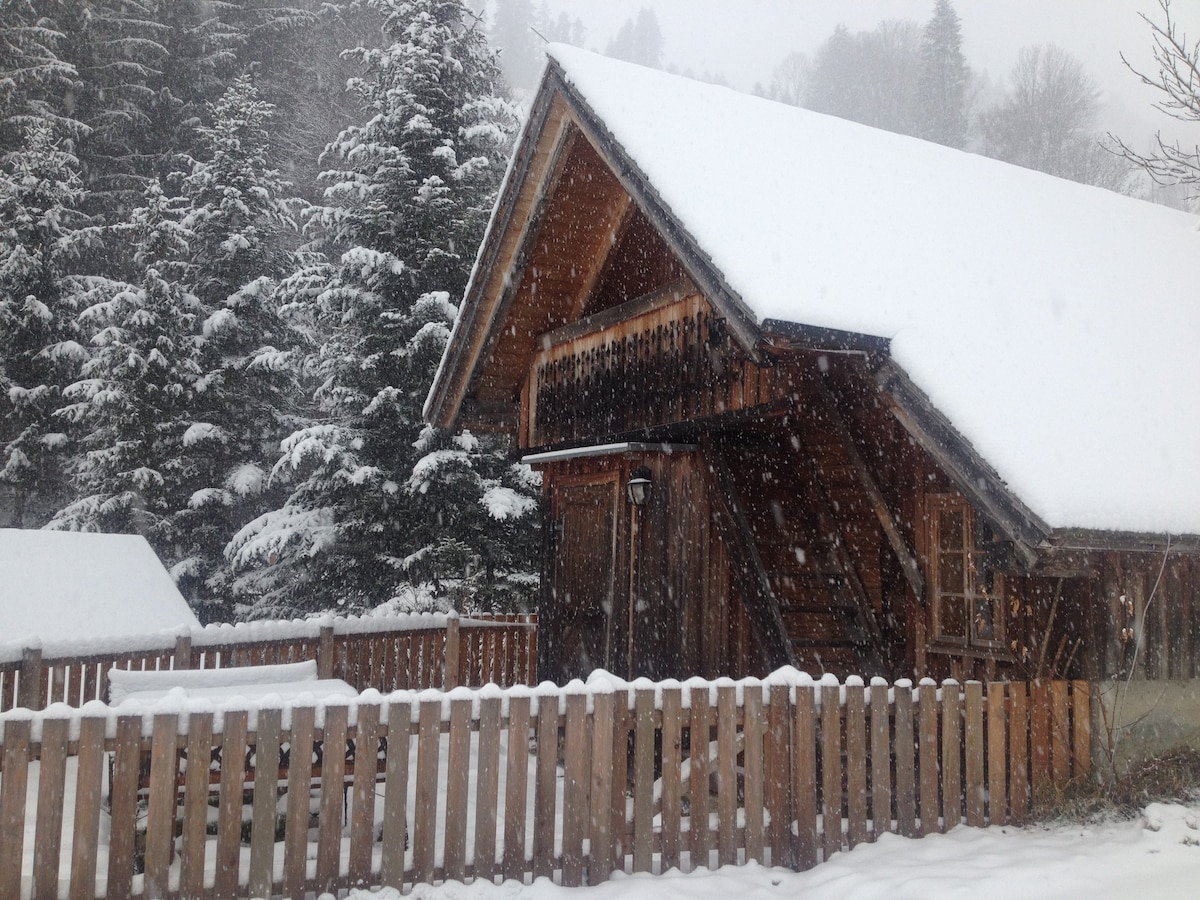 Chalet am Biobauernhof - Styria