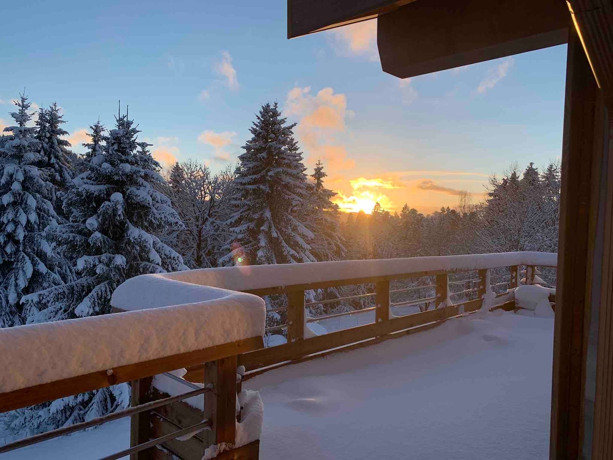 Chalet avec vue panoramique