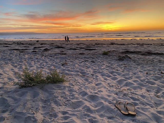 阿丁格海滩(Aldinga Beach)的民宿