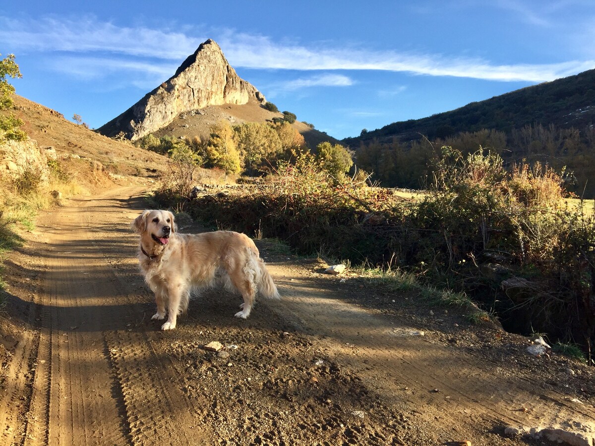 山上放松身心的好去处，体育运动，探险之旅