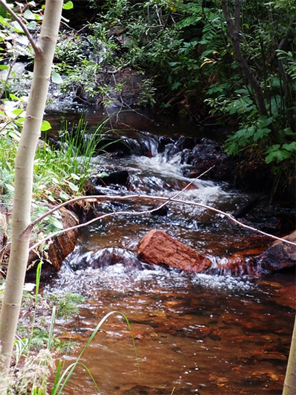 Fox Hollow on Little Deer Creek