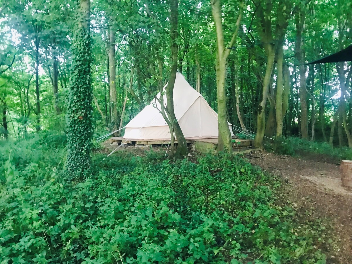橡树，隐藏在树林中的一个秘密林地营地