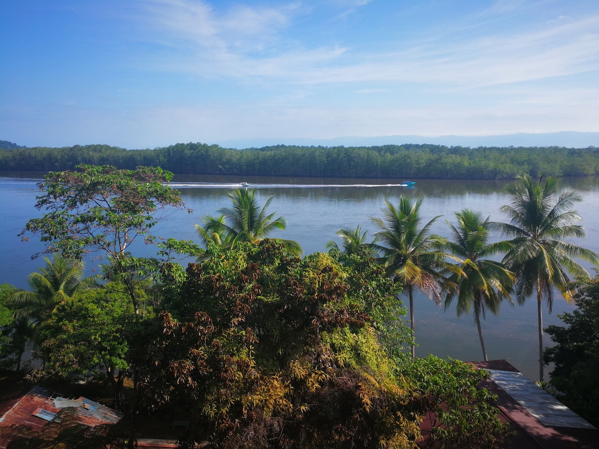 Sierpe River Camp #1