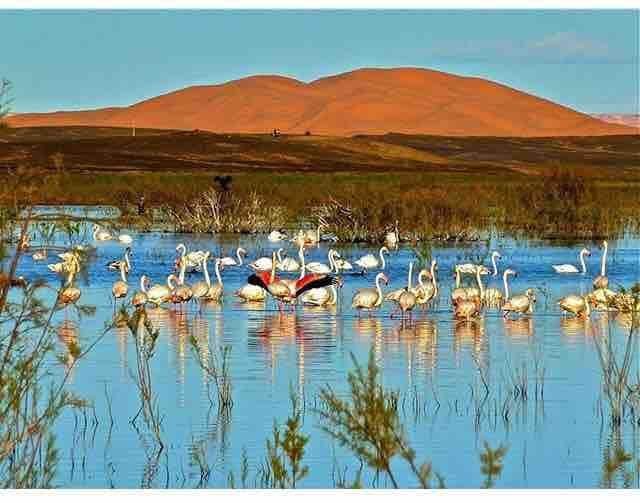 Riad Les Flamants Roses