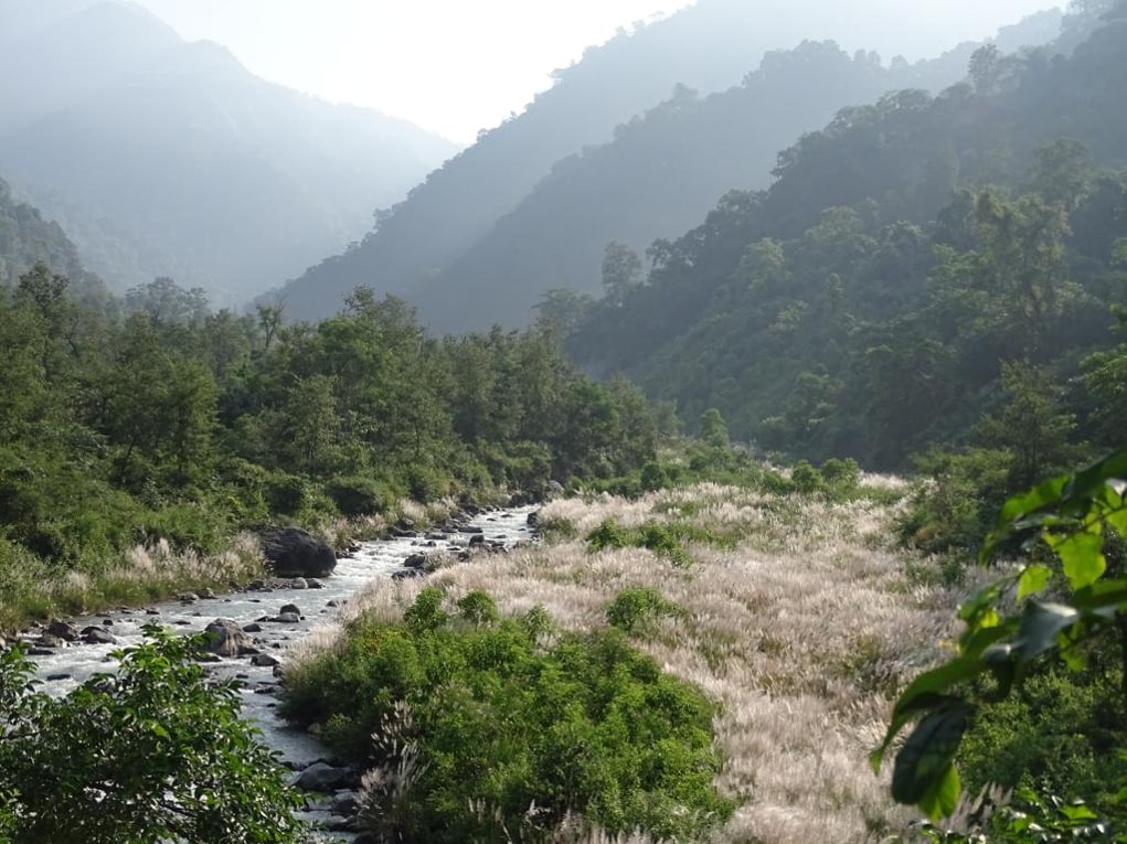 Syat House - By the River, with forested mountains