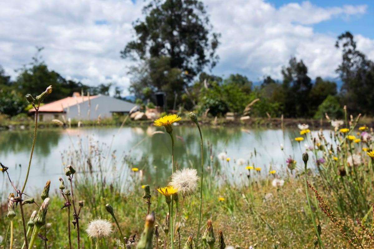 El Capricho Una Casa En El Campo