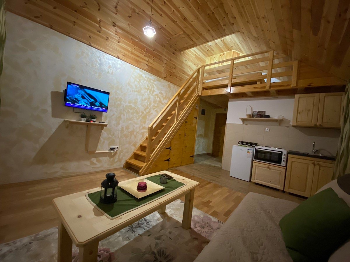 Apartman Vuk 1