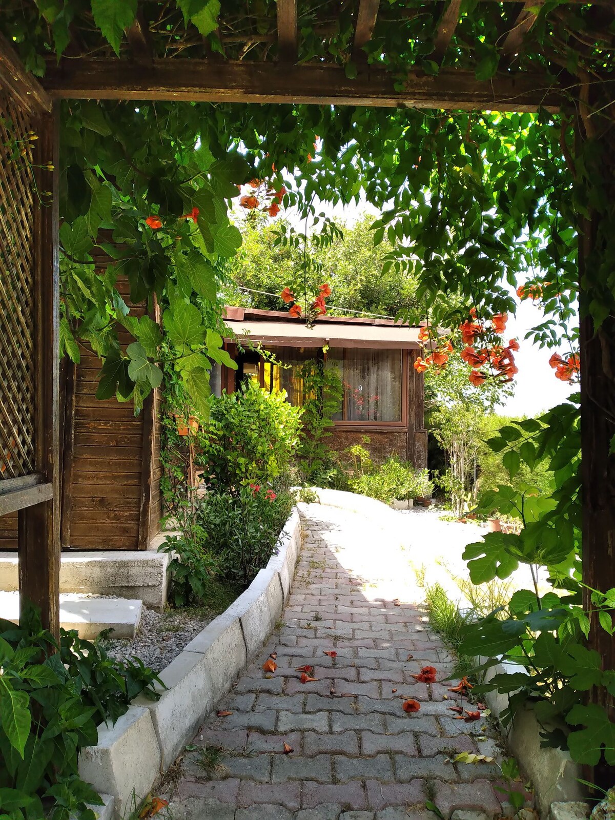 Viraj Tatil Evi