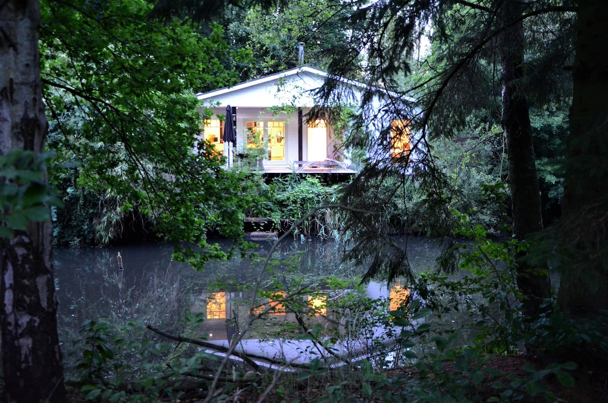 森林里的湖畔别墅