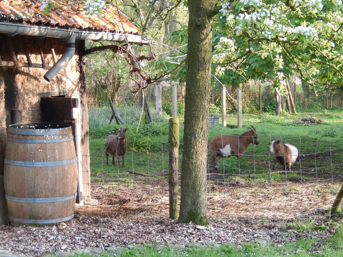 A holiday in a delightful 19th century farmhouse.