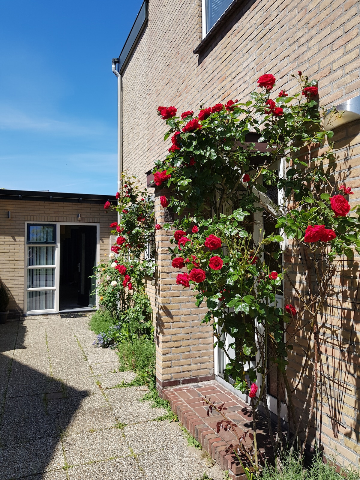 Betty's Garden Cottage