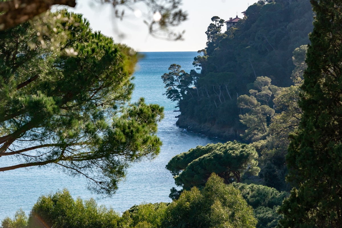 La Dolce Vita, 游泳池, 海景