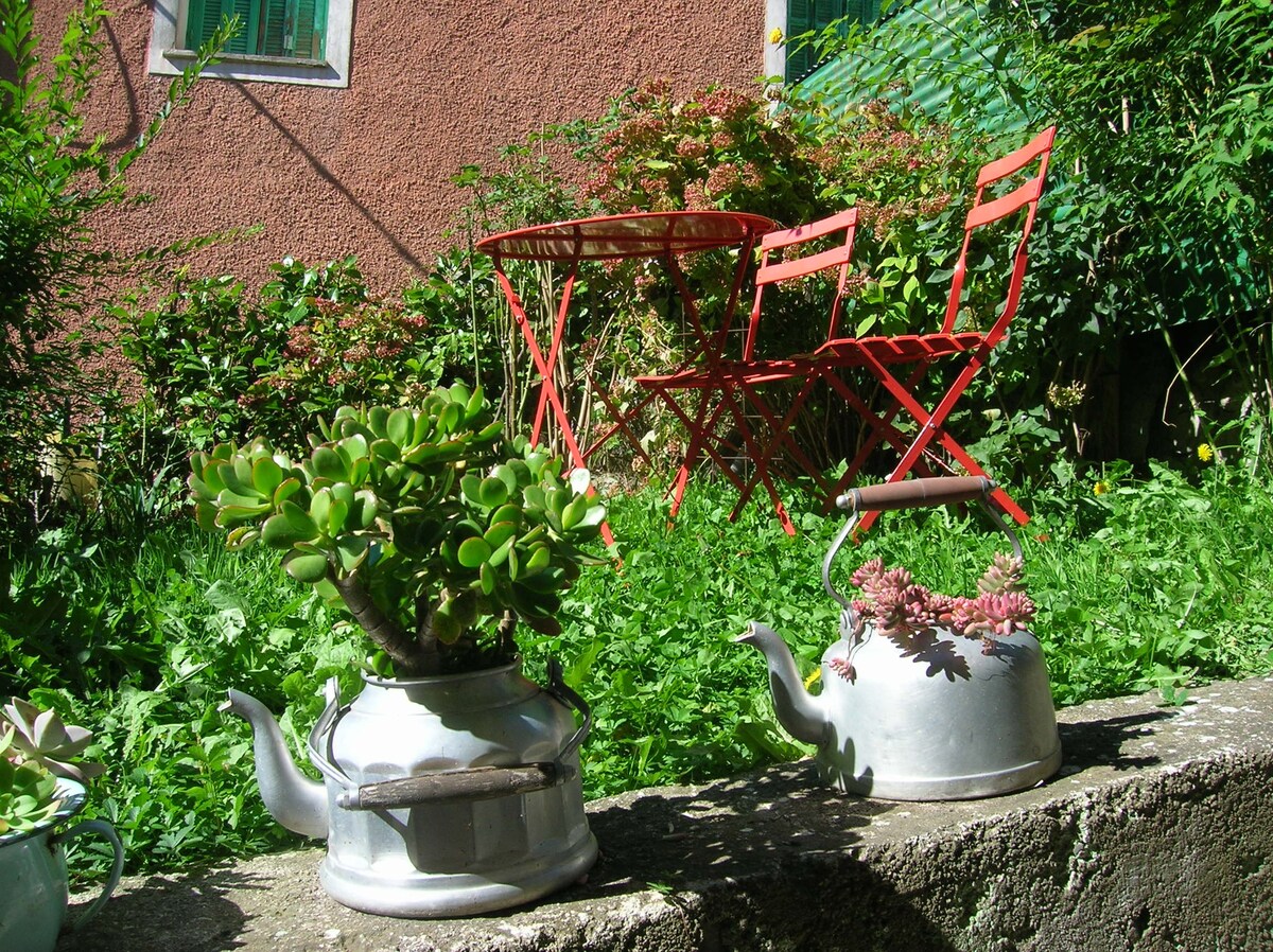 Le studio du pic vert à Belvédère