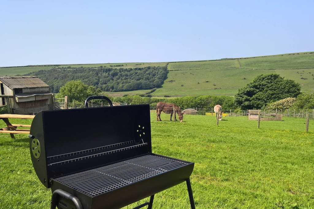 bbq in front of lodges