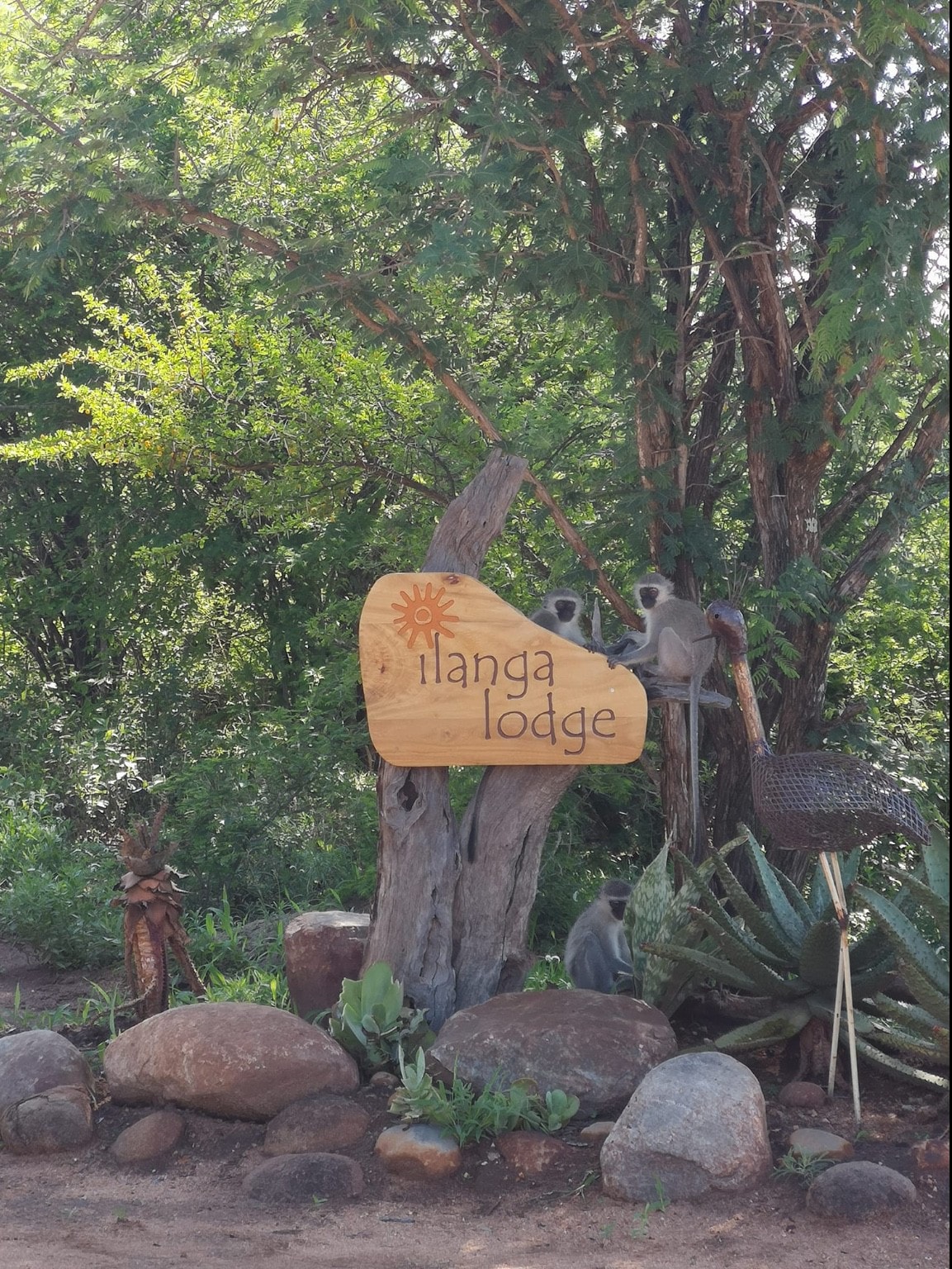 Ilanga Lodge, Hoedspruit Wildlife Estate