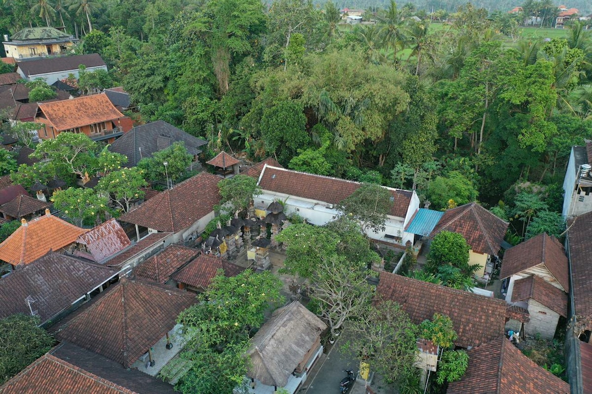 Home with Jungle view in Ubud Bali #goodinternet