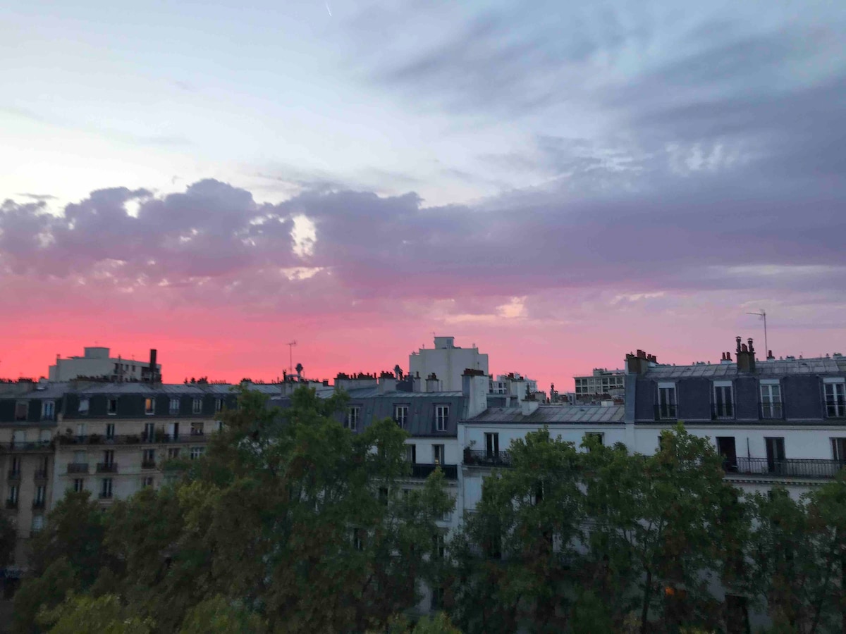 带巴黎屋顶景观的单间公寓