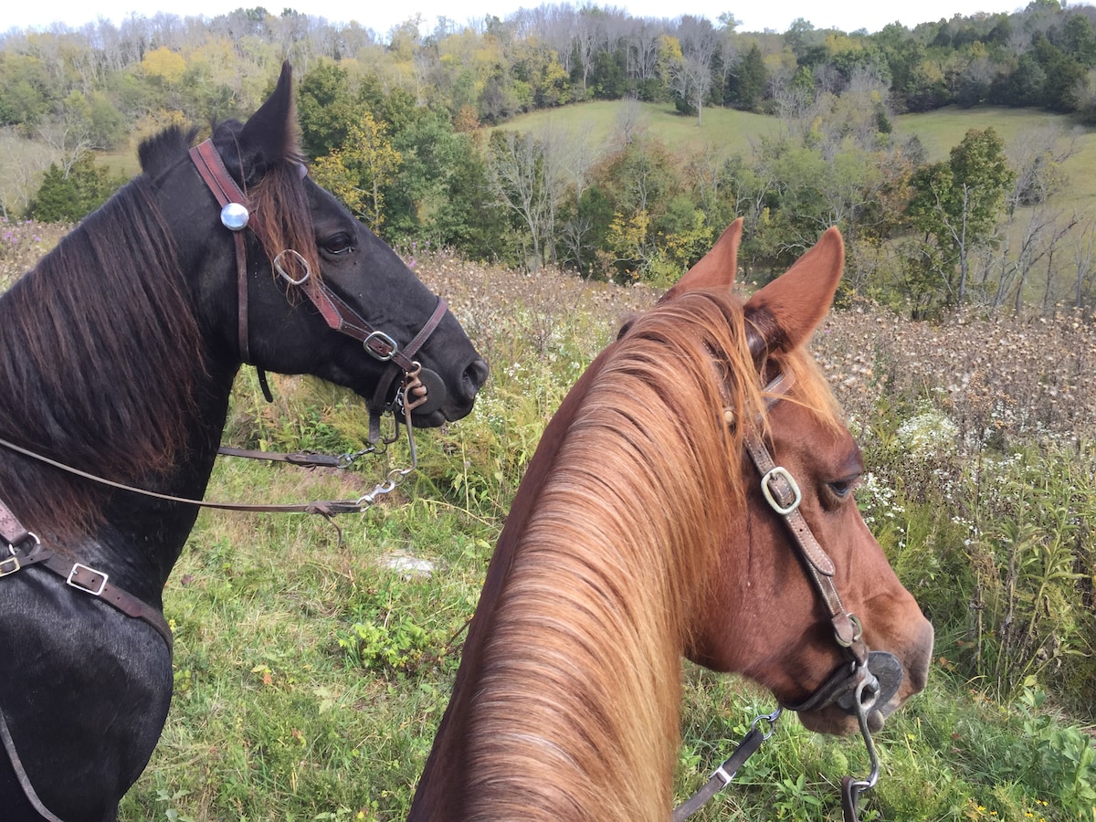 The Bunkhouse at Big Red Stables