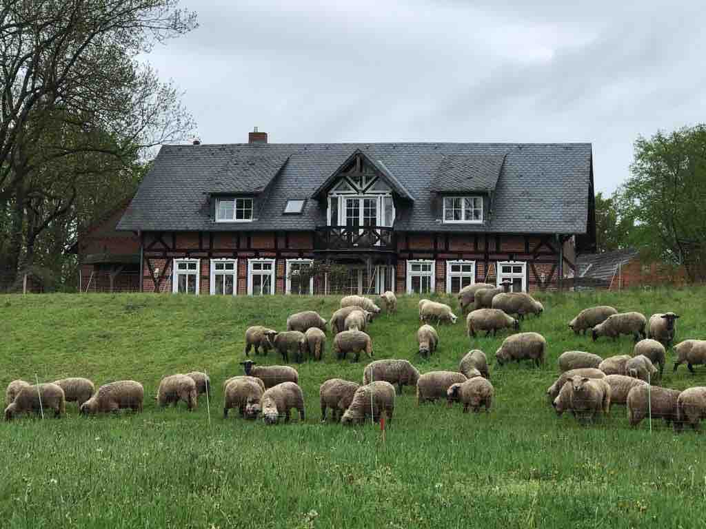 Elbperle Urlaub in der Lenzerwische Zimmer West