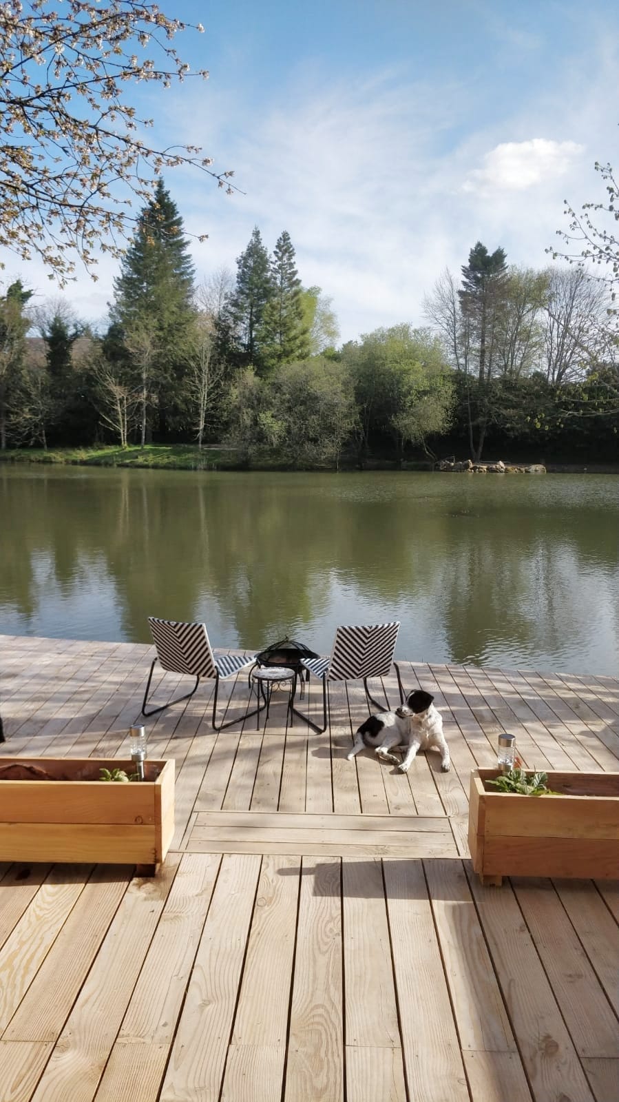 The Bumbles Cabin on the Lake