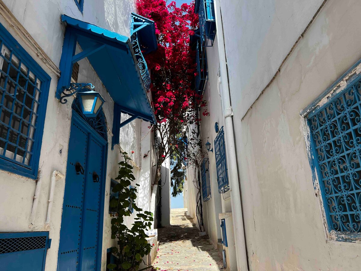 Luxury meets tradition in Sidi bou said ( rooftop)