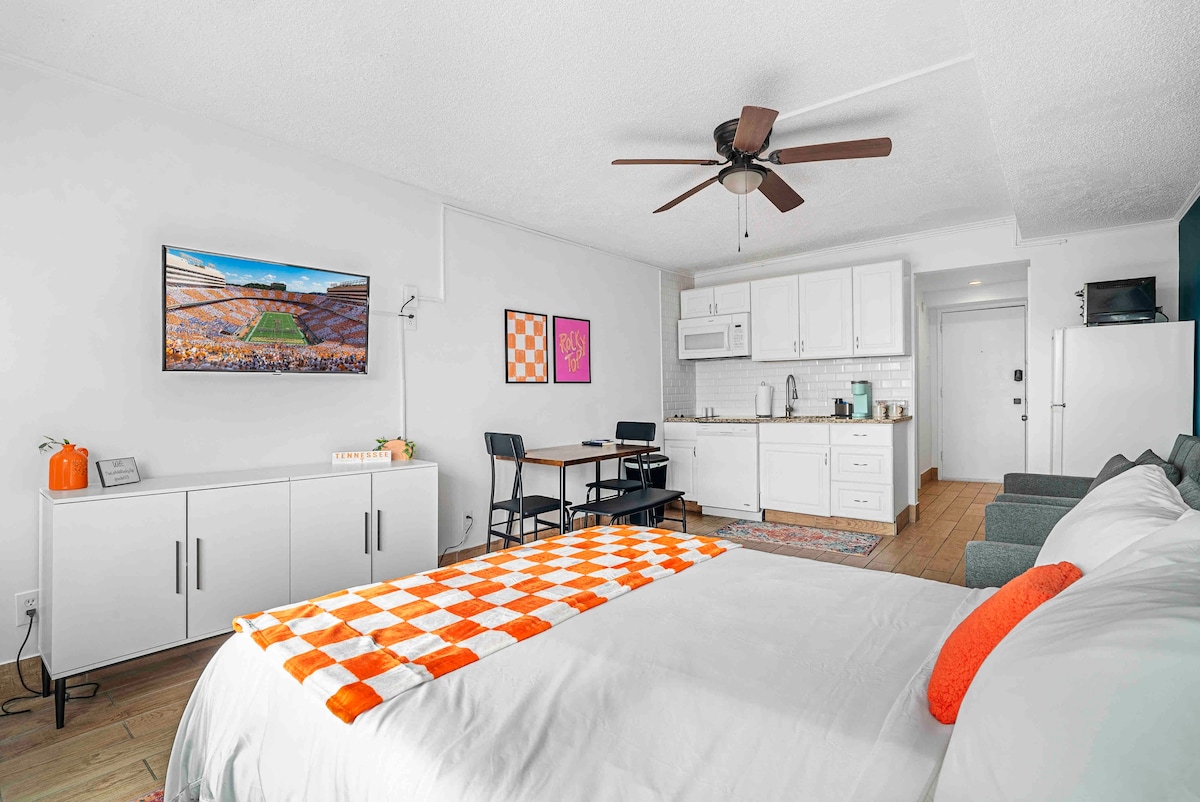 NEW!  Walk to campus+downtown, Loft at Rocky Top