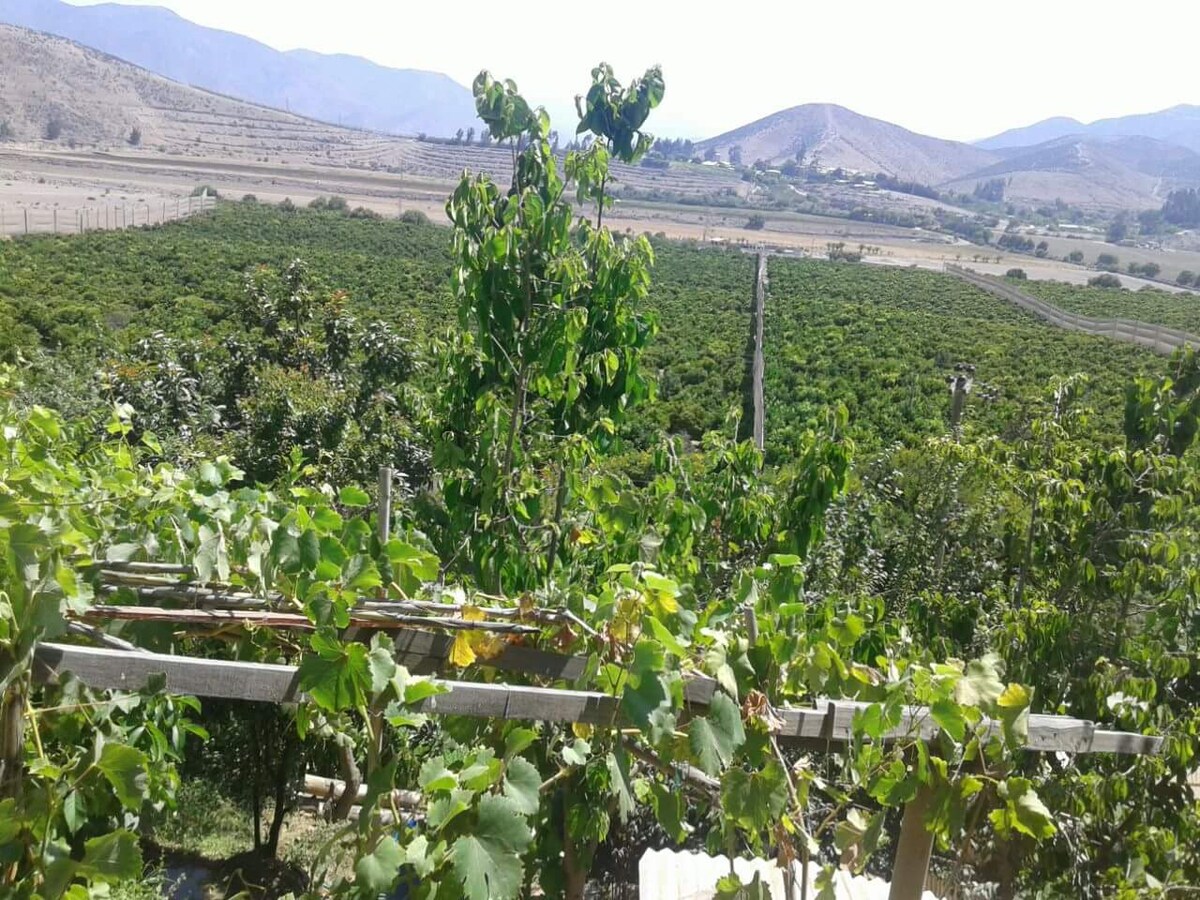 Eclipse valle del elqui vicuña arriendo