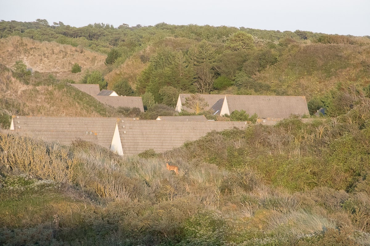 Maison dans les dunes à 200 M de la plage