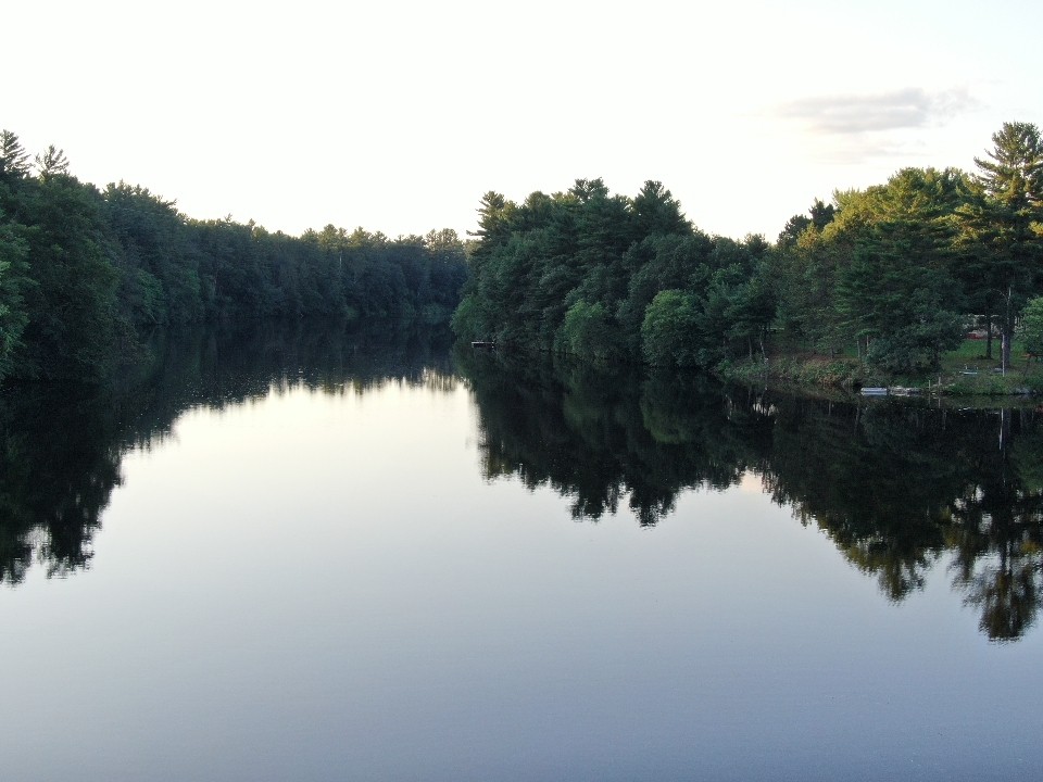 Levis Point Cabin