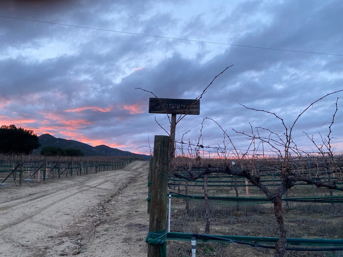 Mountain Vineyard Retreat: the Farmhouse