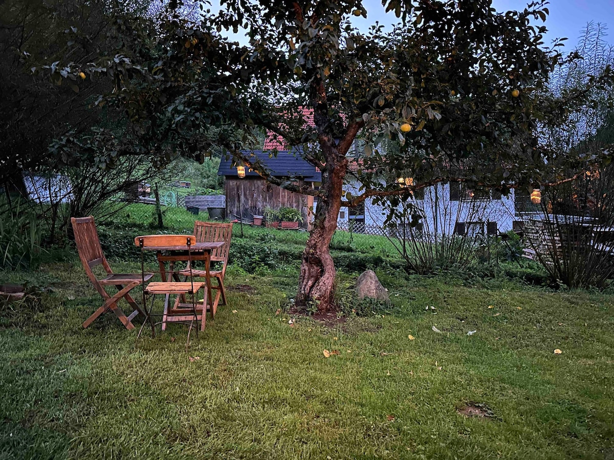 Apartment in the Natur-Park Schwarzwald