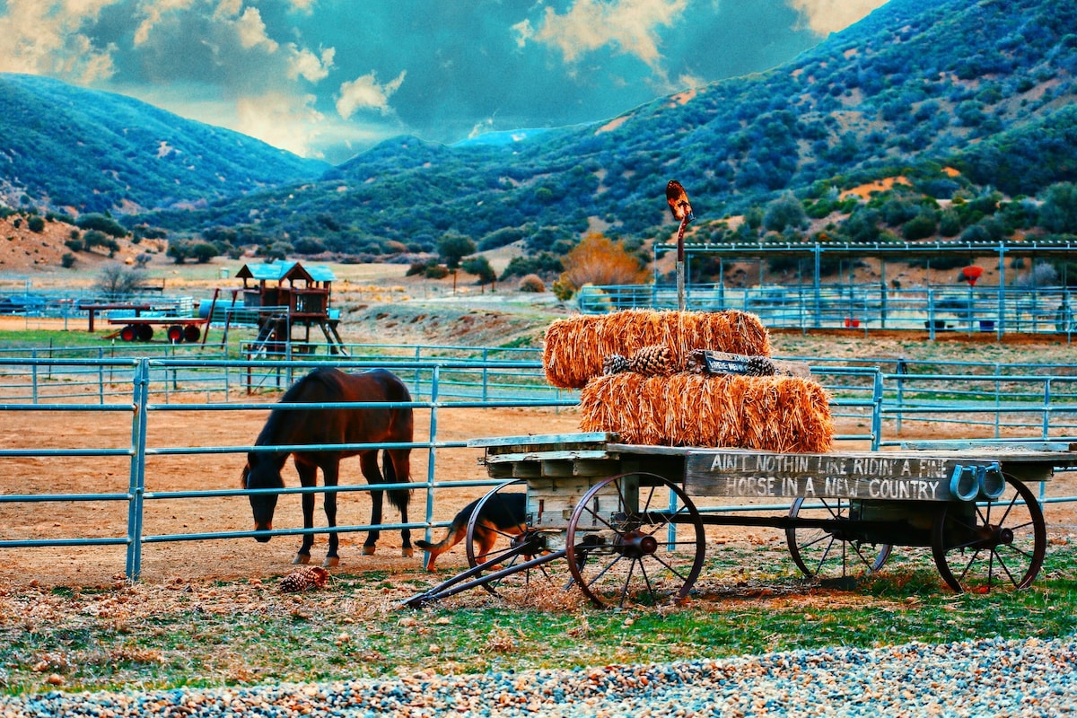 The Ojai Cowboy Cabin at Rancho Grande