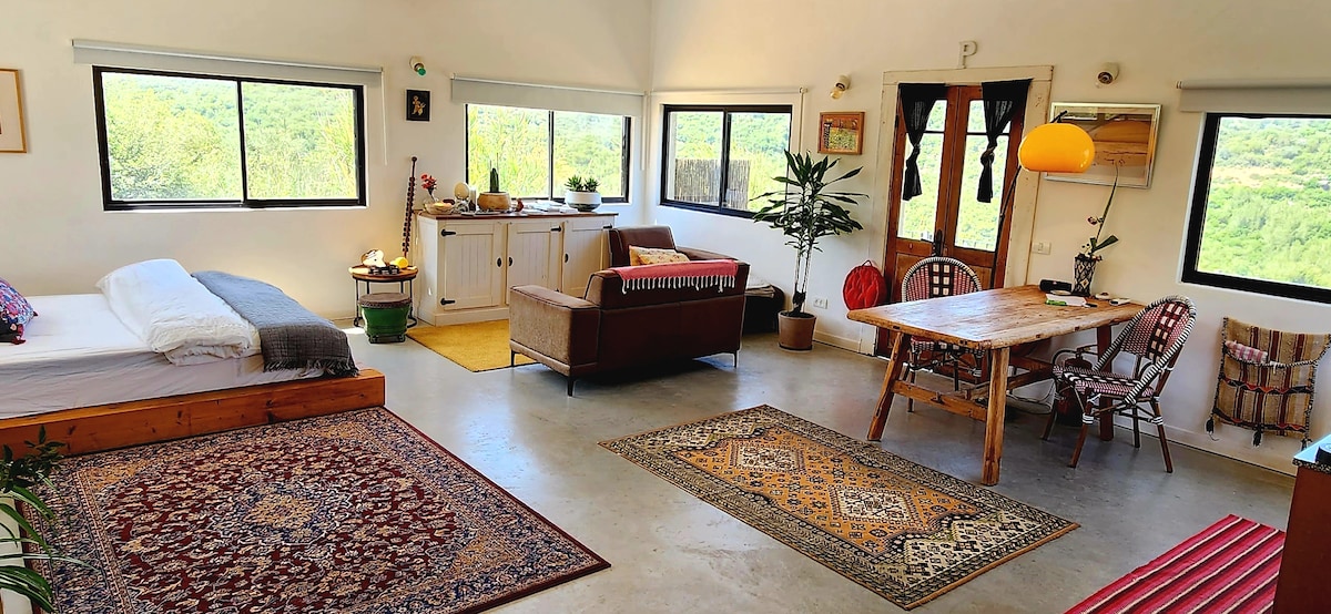 Ein Hod Zimmer 70平方米，神奇而壮观的全景Wim山