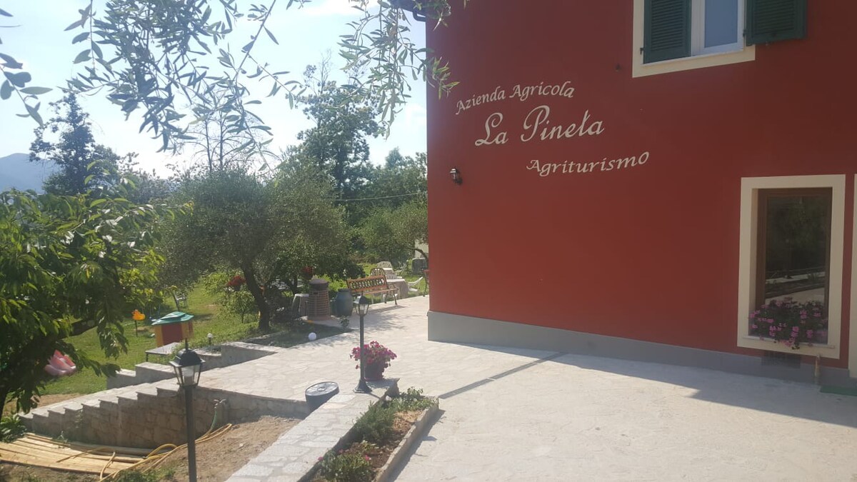 agriturismo La Pineta房间1