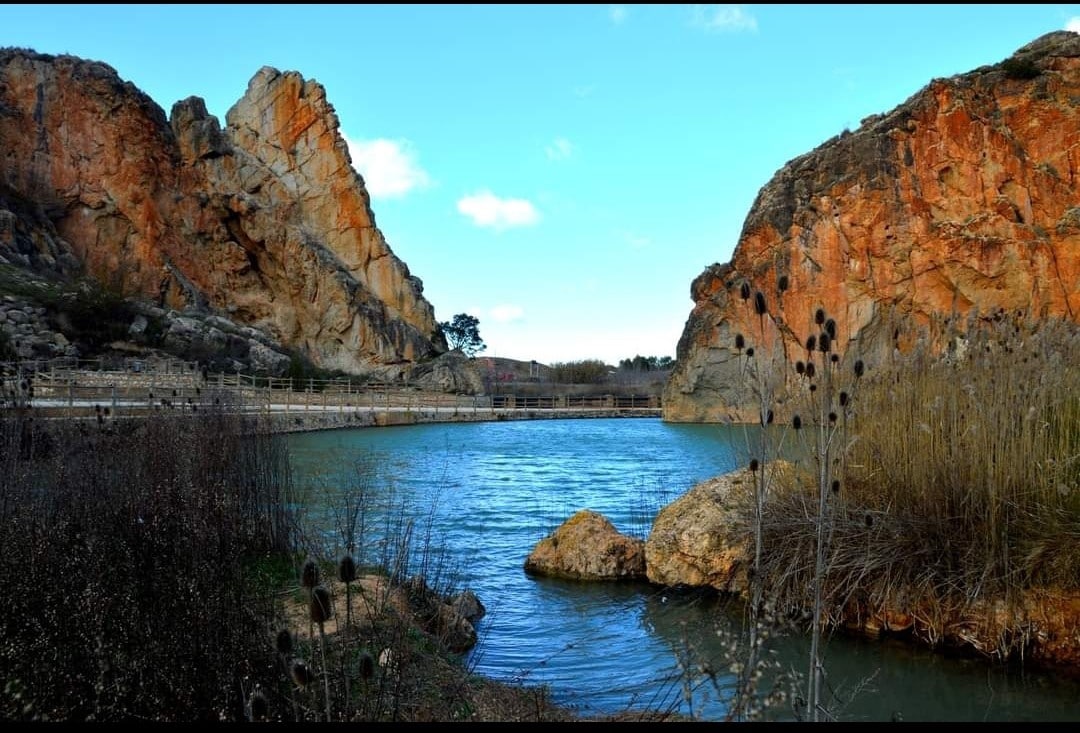 Cortijo Fuentealbilla