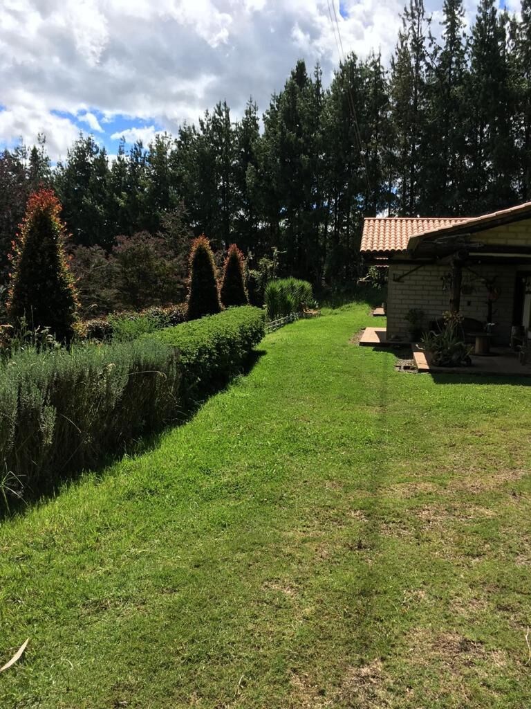 Estadía en un lugar mágico, lleno de energía