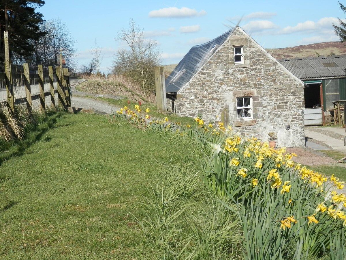 Curlew Cottage and Free Shepherd 's Hut