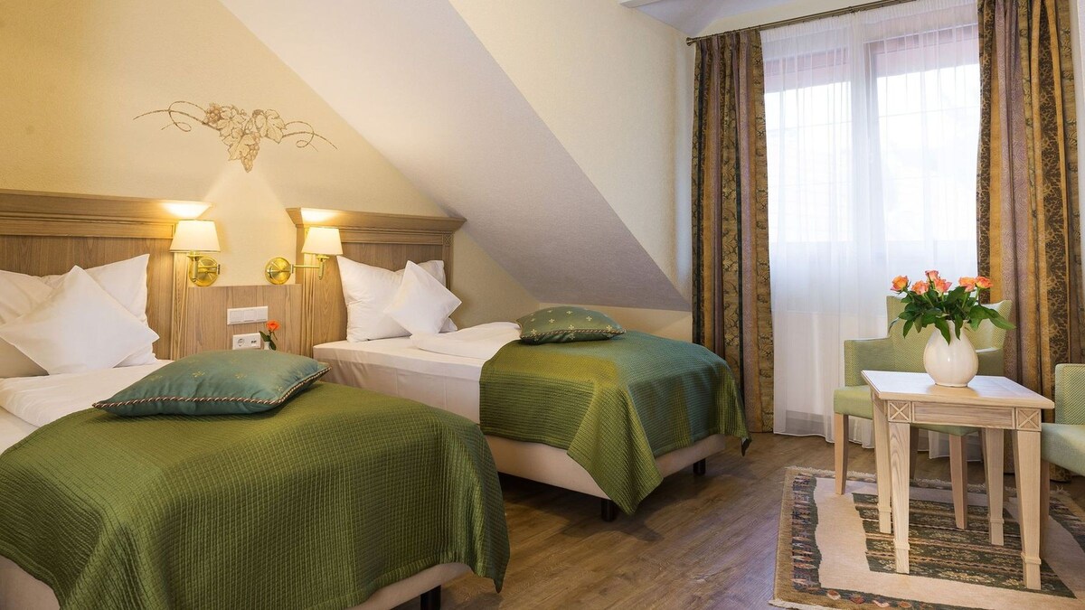 （巴登-巴登） Rebstock酒店，舒适双床房
