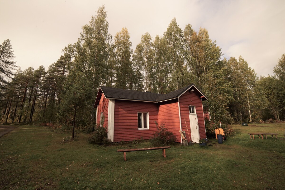 Old Pine Husky Lodge