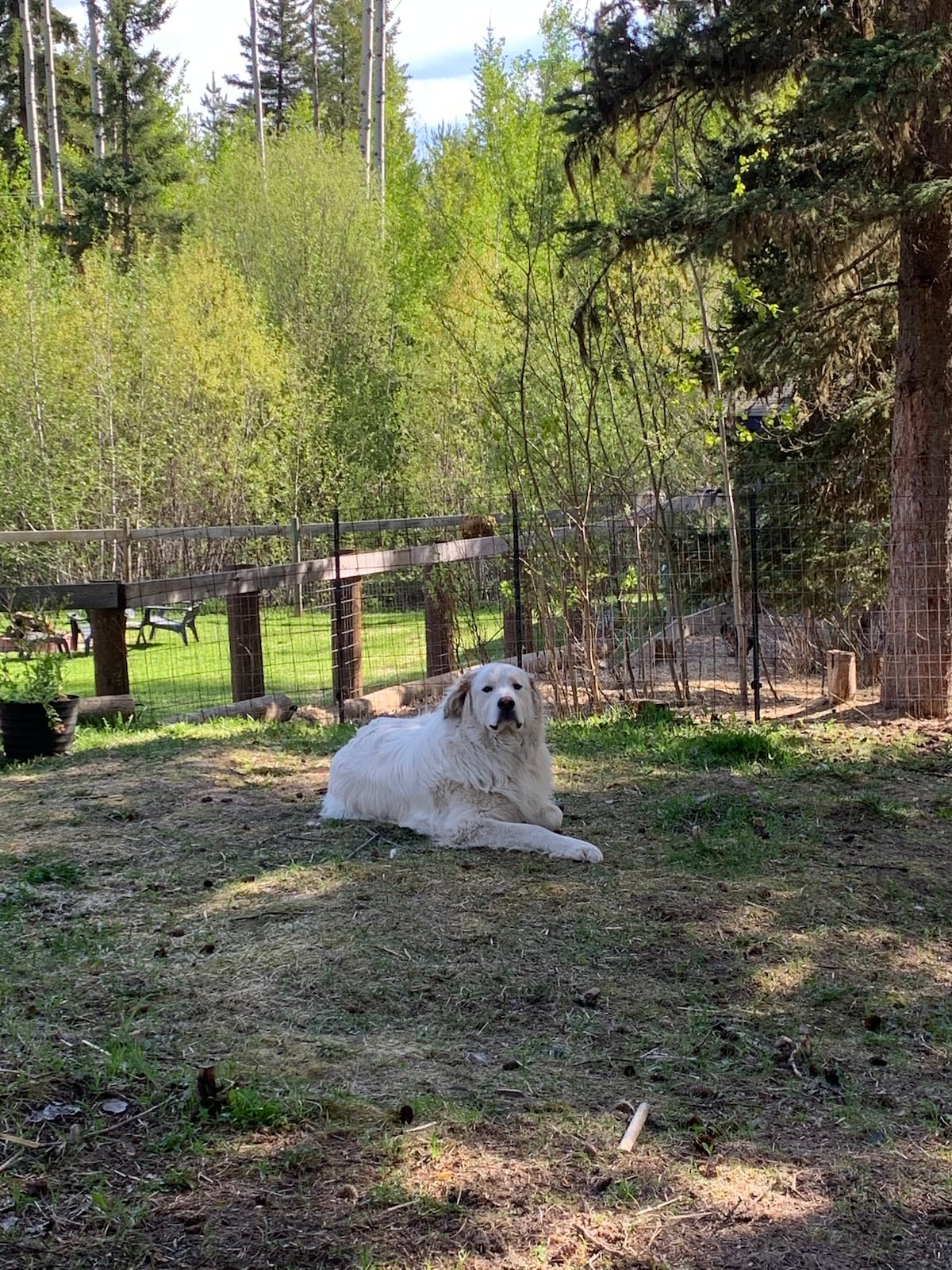The Great Pyrenees Hideaway