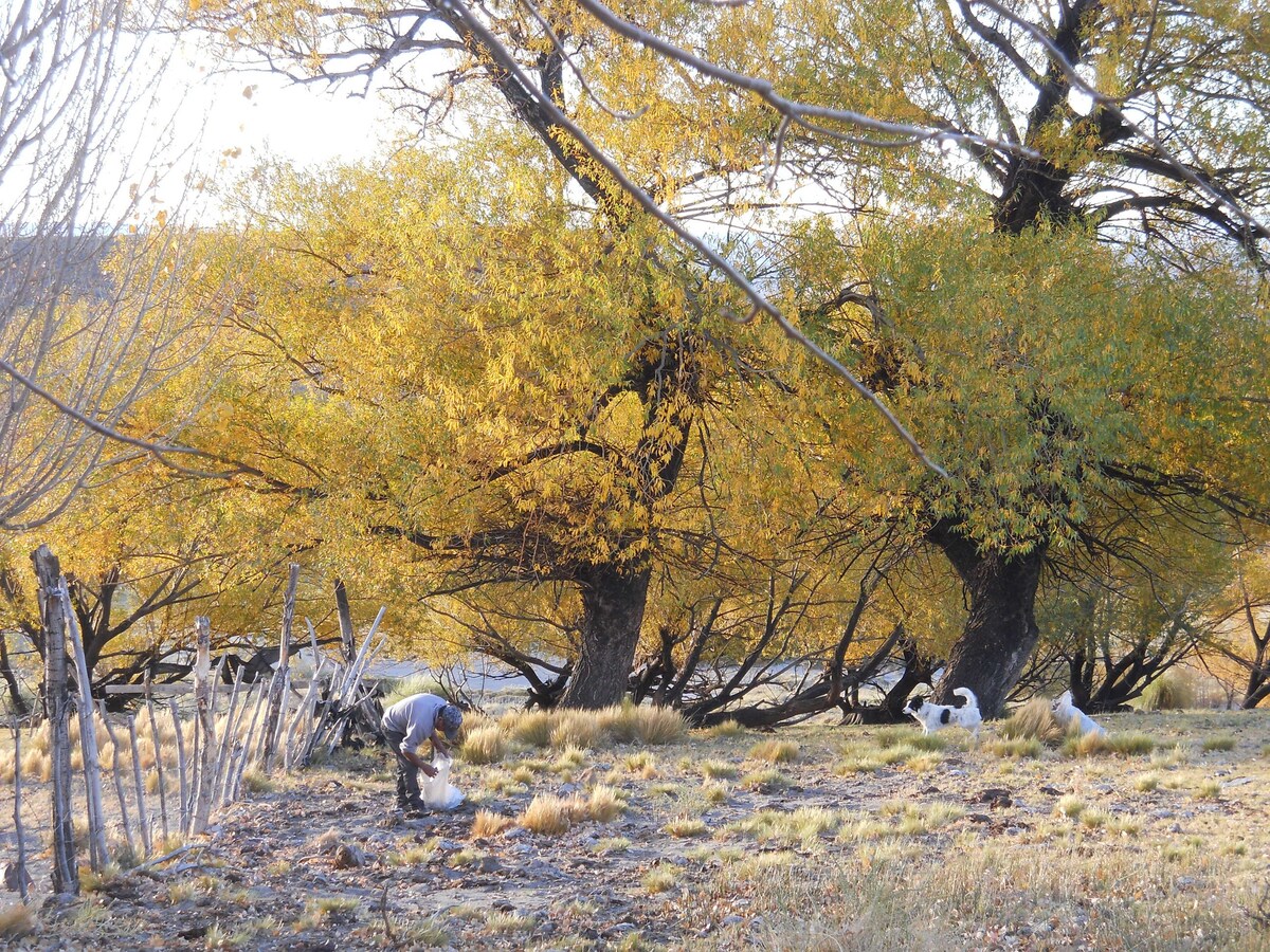 Granja Educativa El Mirador (Ecológica)