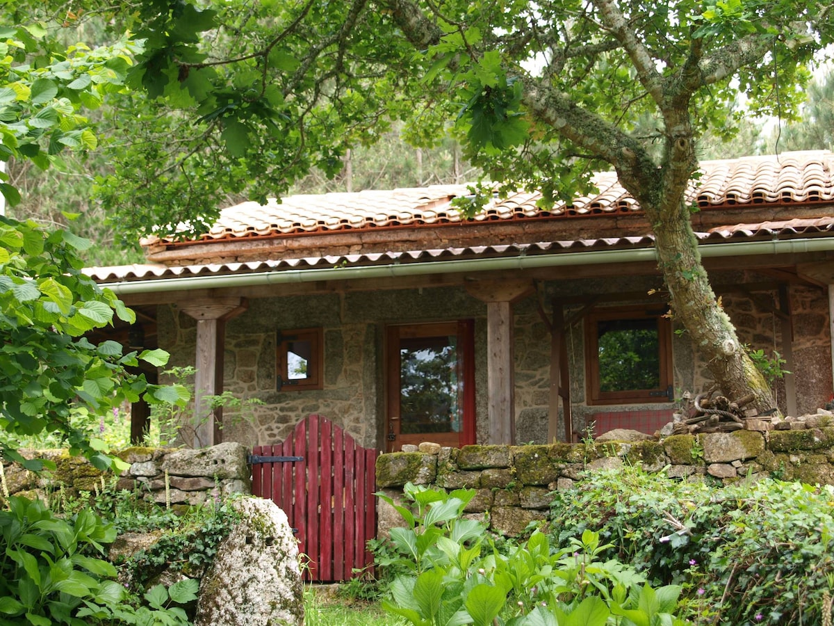 美丽修复的小房子： Casita da Forxa