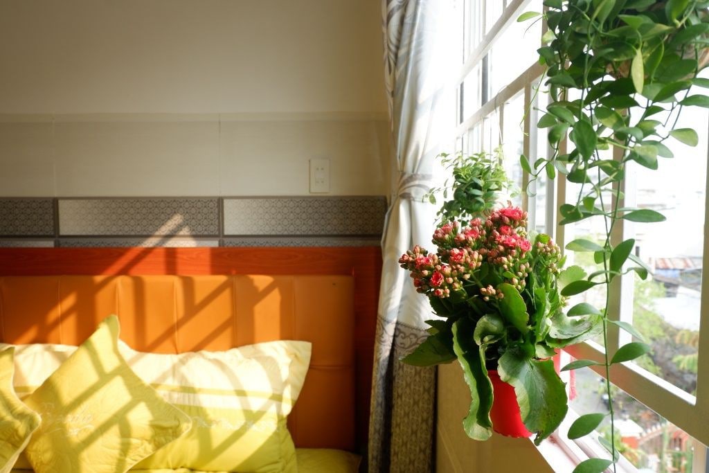 豪华公寓-阳光明媚的阳台和窗户@ CanTho市中心
