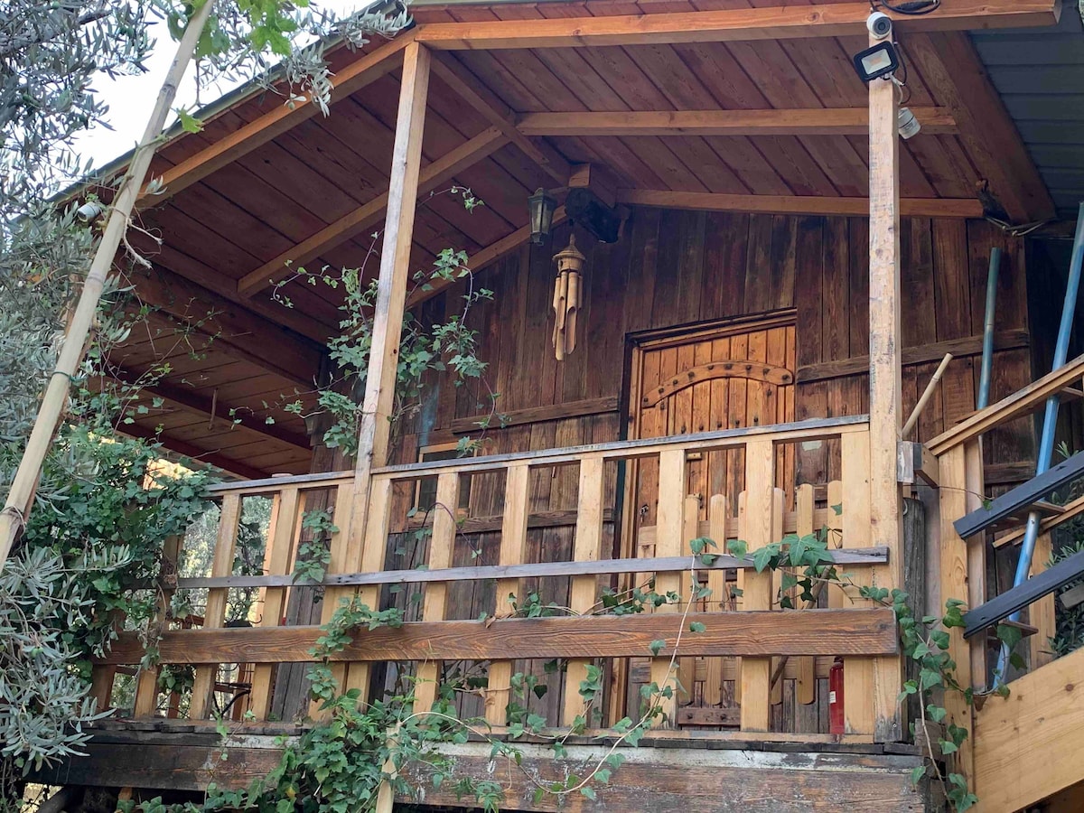 Nirvana’s Bungalow - cabin in a charming garden