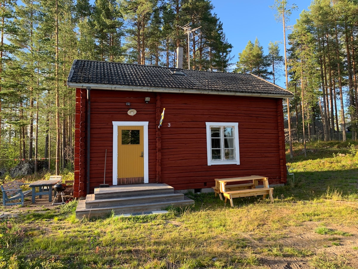 Örnsköldsvik郊外的森林附近的木质乡村小屋