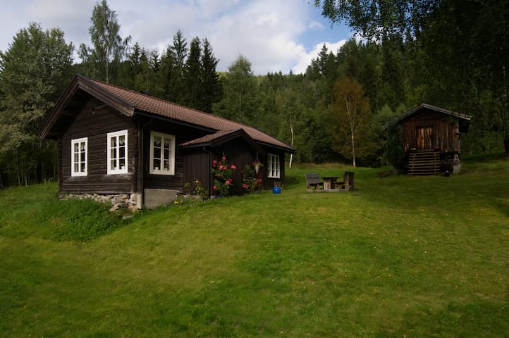 Selijord kommune的民宿