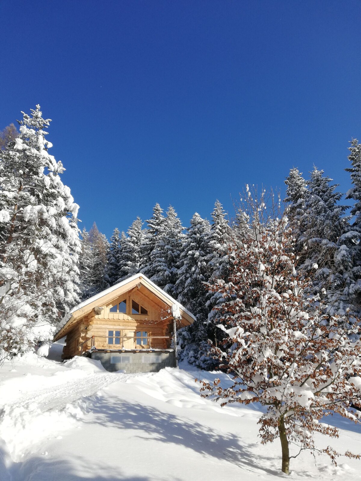 Chalet na Rowienki